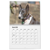 Bull Terrier hondenkalender Kalender (Mar 2026)