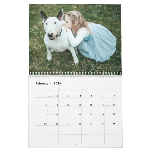 Bull Terrier kalender 2026 (Feb 2026)