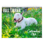 Bull Terrier kalender 2026 (Hoes)