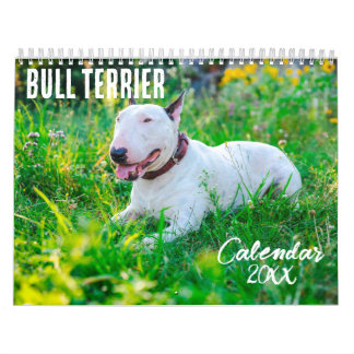 Bull Terrier kalender 2026