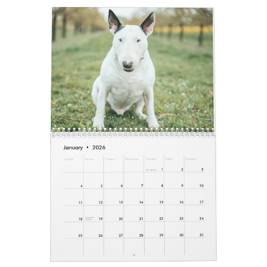 Bull Terrier kalender 2026 (Jan 2026)