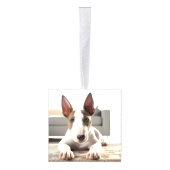 Bull Terrier Kersthond Twee Foto Vakantie Decoratie (Rechts)