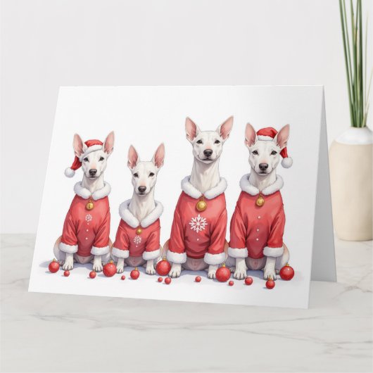 Bull Terrier Kerstjurk Kerstman Hoed Kaart (Voorkant)