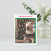 Bull Terrier-kerstkaart glimlachen (Staand voorkant)