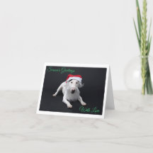 Bull Terrier Kerstman Kerst Vouw Wenskaart