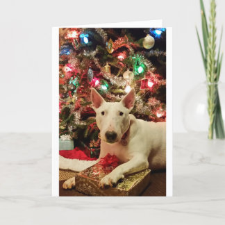 bull terrier Kerstmis huidige boom Feestdagen Kaart