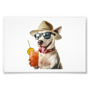 Bull Terrier Kopie Foto Afdruk