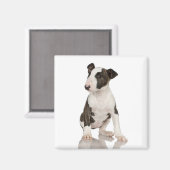 Bull Terrier Magnet (Voorkant / Achterkant)