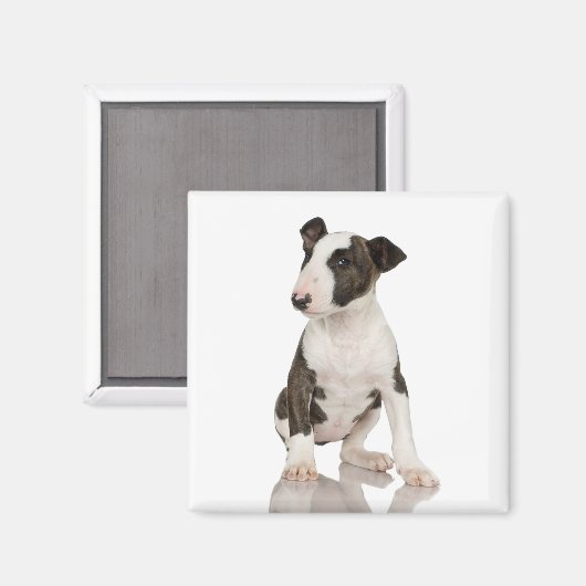 Bull Terrier Magnet (Voorkant / Achterkant)