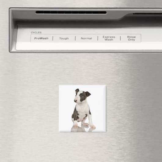 Bull Terrier Magnet (Insitu (Vaatwasser))