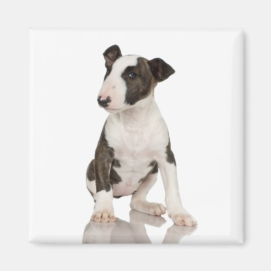 Bull Terrier Magnet (Voorkant)