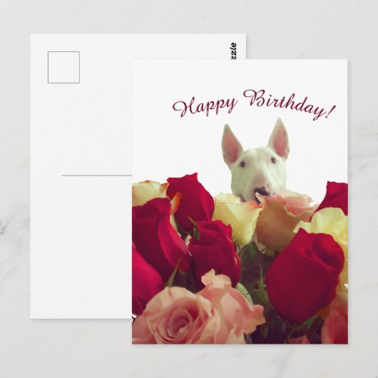 Bull terrier met rozen - Gefeliciteerd! Briefkaart (Voorkant / Achterkant)