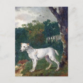 Bull Terrier Painting -  beeldende kunst Briefkaart (Voorkant)