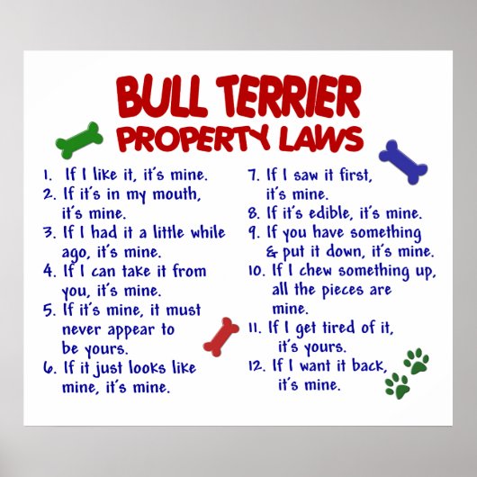 BULL TERRIER PL2 POSTER (Voorkant)