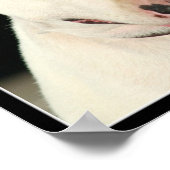Bull Terrier poster (Hoek)