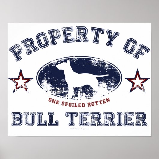 Bull Terrier Poster (Voorkant)