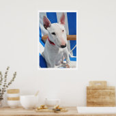 Bull Terrier Poster (Keuken)