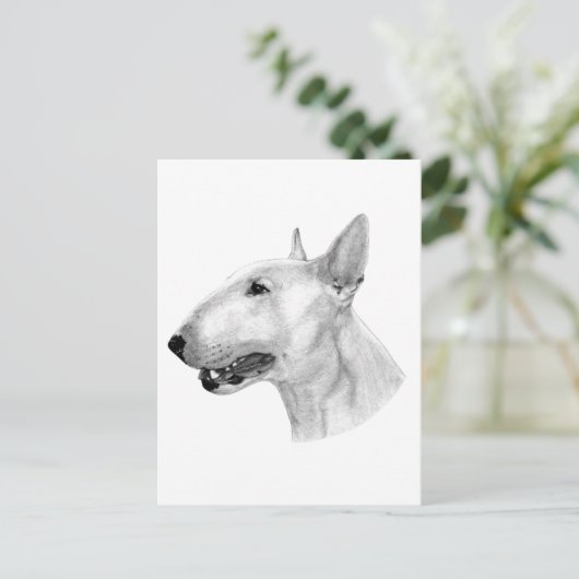 Bull Terrier potloodtekening Briefkaart (Staand voorkant)