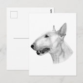 Bull Terrier potloodtekening Briefkaart (Voorkant / Achterkant)
