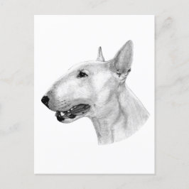 Bull Terrier potloodtekening Briefkaart