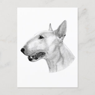 Bull Terrier potloodtekening Briefkaart