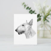Bull Terrier potloodtekening Briefkaart (Staand voorkant)