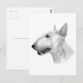 Bull Terrier potloodtekening Briefkaart (Voorkant / Achterkant)
