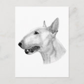 Bull Terrier potloodtekening Briefkaart (Voorkant)