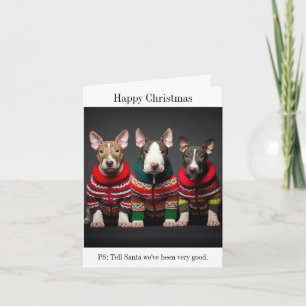 Bull Terrier Puppies in Kersttruien Kaart