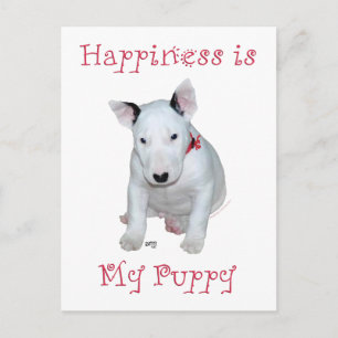 Bull Terrier Puppy Briefkaart