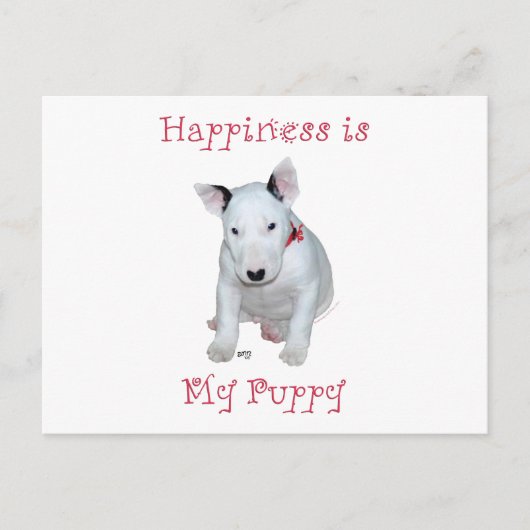 Bull Terrier Puppy Briefkaart (Voorkant)