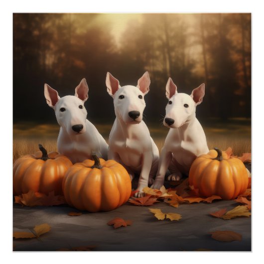 Bull Terrier Puppy Herfst Delight Pompoen Perfect Poster (Voorkant)