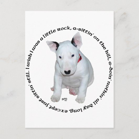 Bull Terrier Puppy Liedjes Briefkaart (Voorkant)