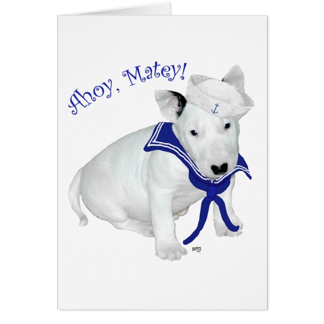 Bull Terrier Puppy Zeiler (Voorkant)