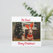 Bull Terrier Reindeer Kerstmis Funny Kaart (Staand voorkant)