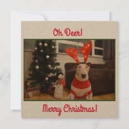 Bull Terrier Reindeer Kerstmis Funny Kaart