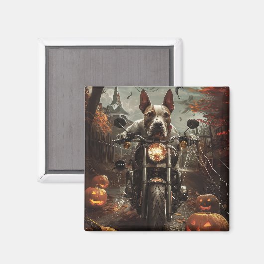 Bull Terrier Rijden Motorfiets Halloween Eng Magneet (Voorkant / Achterkant)