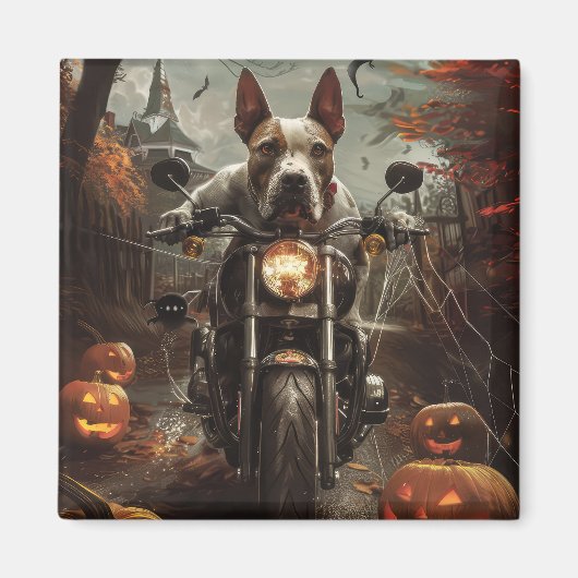 Bull Terrier Rijden Motorfiets Halloween Eng Magneet (Voorkant)
