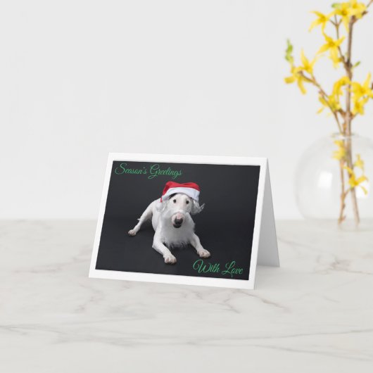 Bull Terrier Sinterklaas Kerstkaart Vouwkaart Kaart (Gele Bloem)