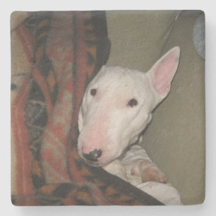 Bull Terrier Snuggled under a Blanket (kleur) Stenen Onderzetter
