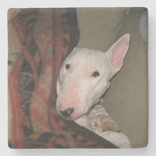 Bull Terrier Snuggled under a Blanket (kleur) Stenen Onderzetter (Voorkant)