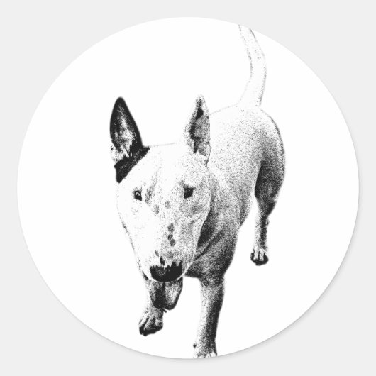 Bull Terrier Sticker – Grit Sticks (Voorkant)