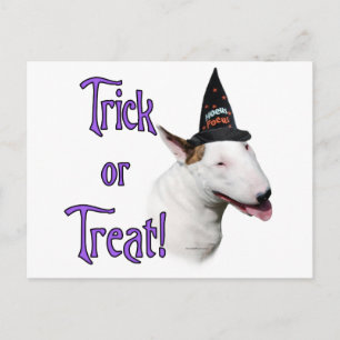 Bull Terrier Trick Briefkaart