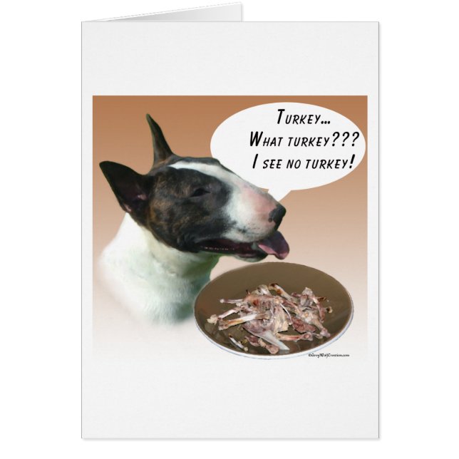 Bull Terrier Turkije (Voorkant)