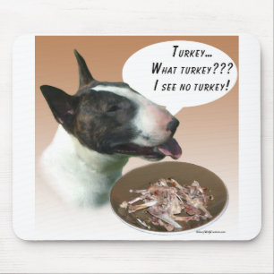 Bull Terrier Turkije Muismat