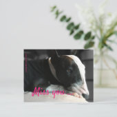 Bull Terrier vermist een dierbare persoon Briefkaart (Staand voorkant)