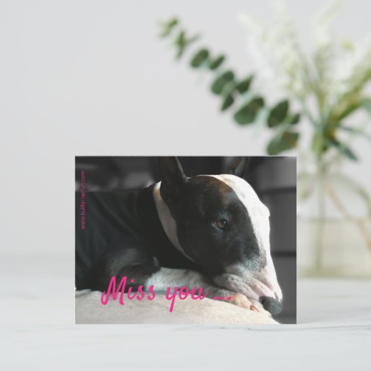 Bull Terrier vermist een dierbare persoon Briefkaart (Staand voorkant)