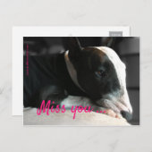 Bull Terrier vermist een dierbare persoon Briefkaart (Voorkant / Achterkant)