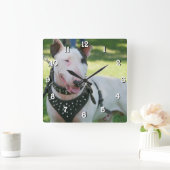 Bull Terrier-vierkante klok (Huis)