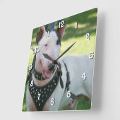 Bull Terrier-vierkante klok (Hoek)